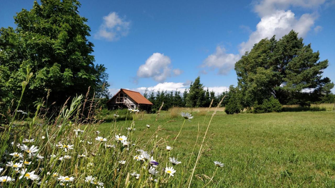 Hotel Suurekivi Kuelalistemaja Reigi Exterior foto